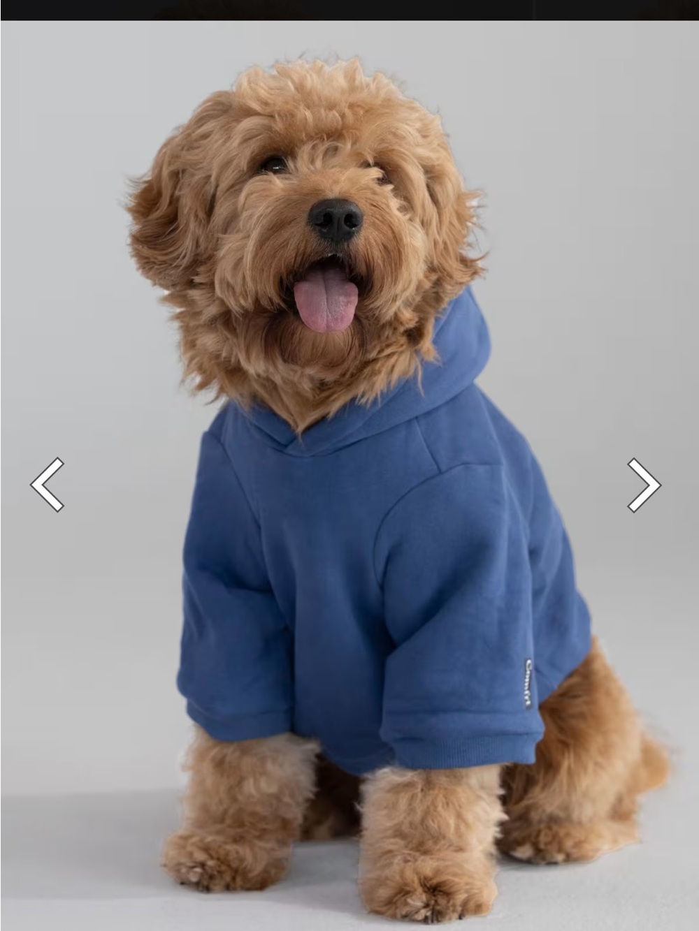 Blue Dog Hoodie Sweatshirt - Comfortable Pullover for Pets - Comfrt Size Large - Picture 5 of 11